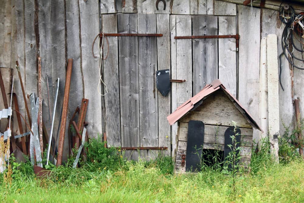 Old Shed and Reclaim Your Garden