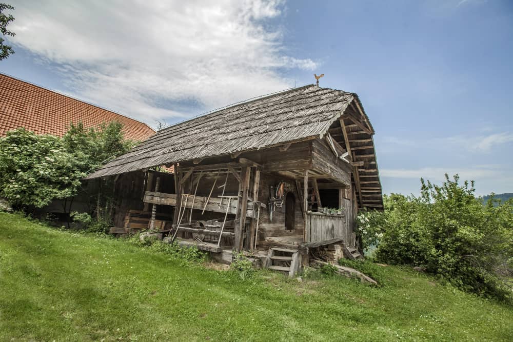 Old Shed and Reclaim Your Garden