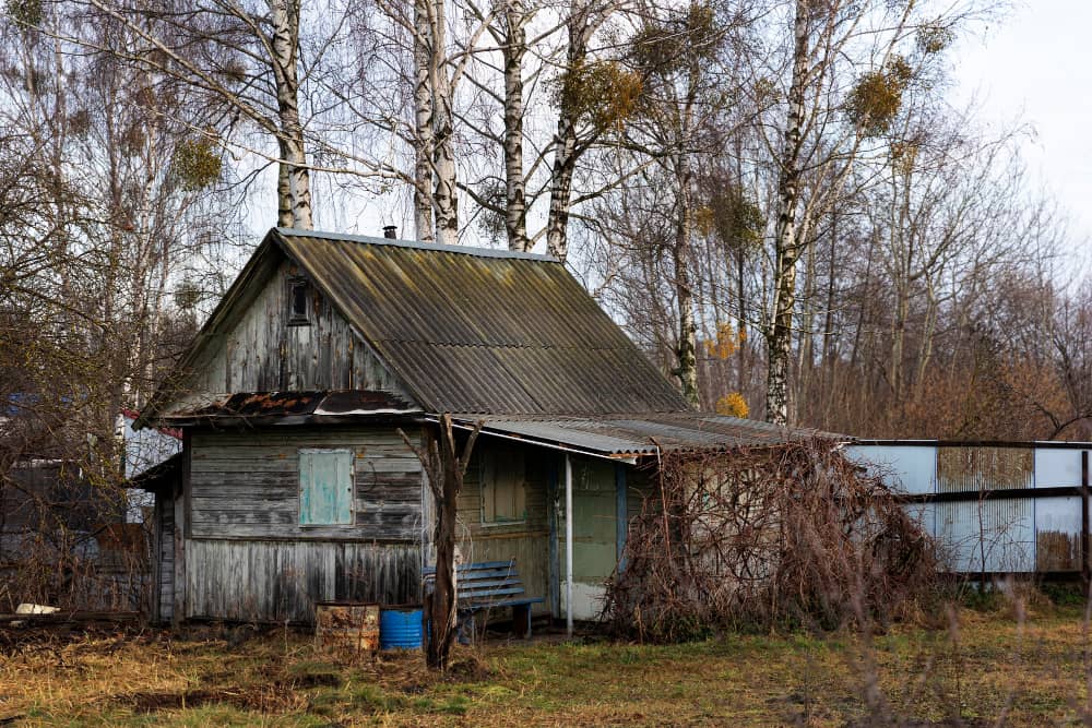 Shed Removal Service