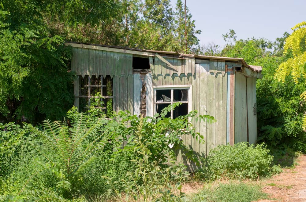 Old Shed and Reclaim Your Garden