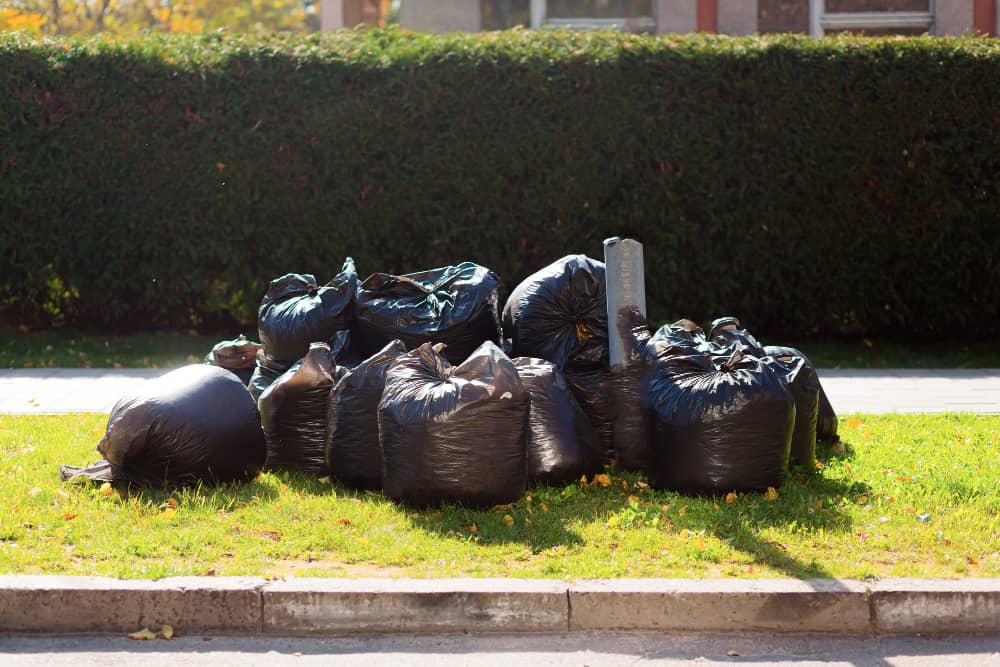 Garden Clearance for Waste Disposal
