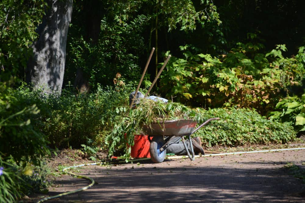 Garden Clearance