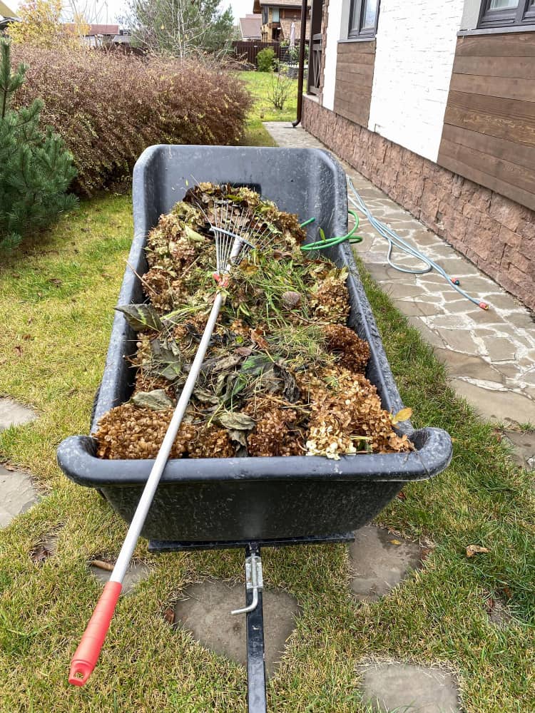 Garden Clearance