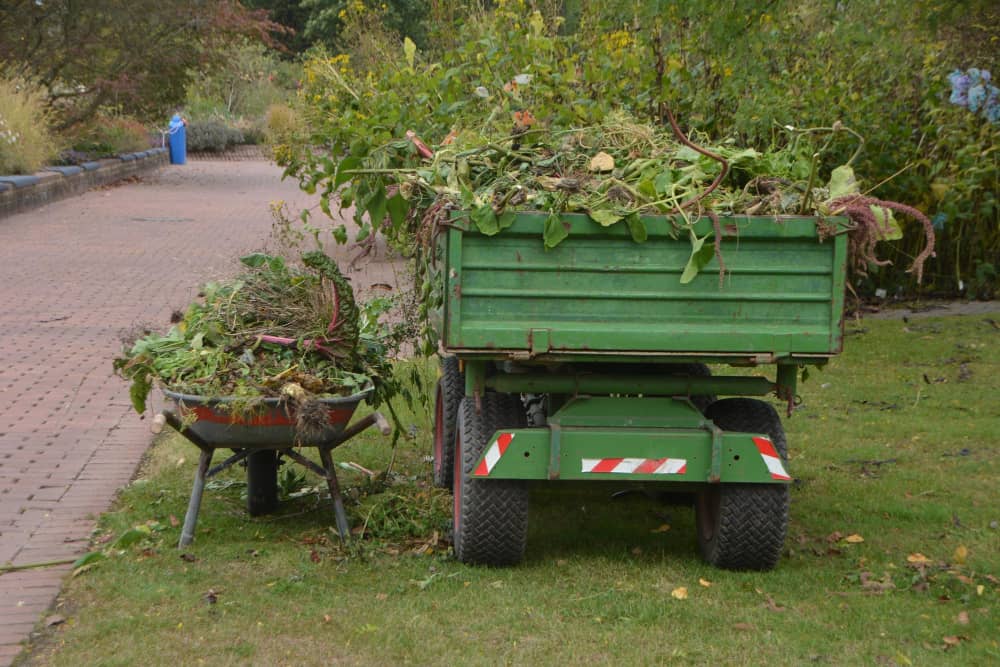 Garden Clearance