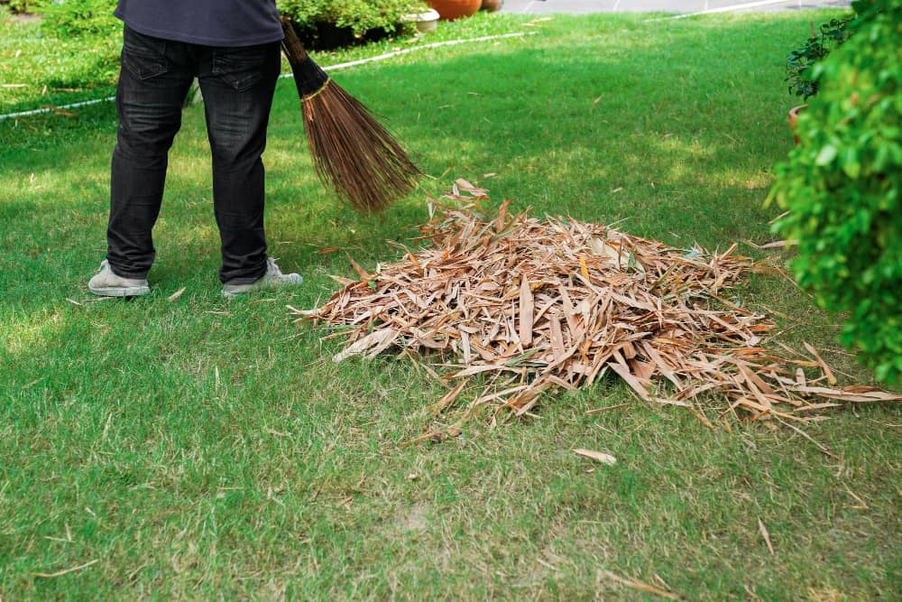 Garden clearance