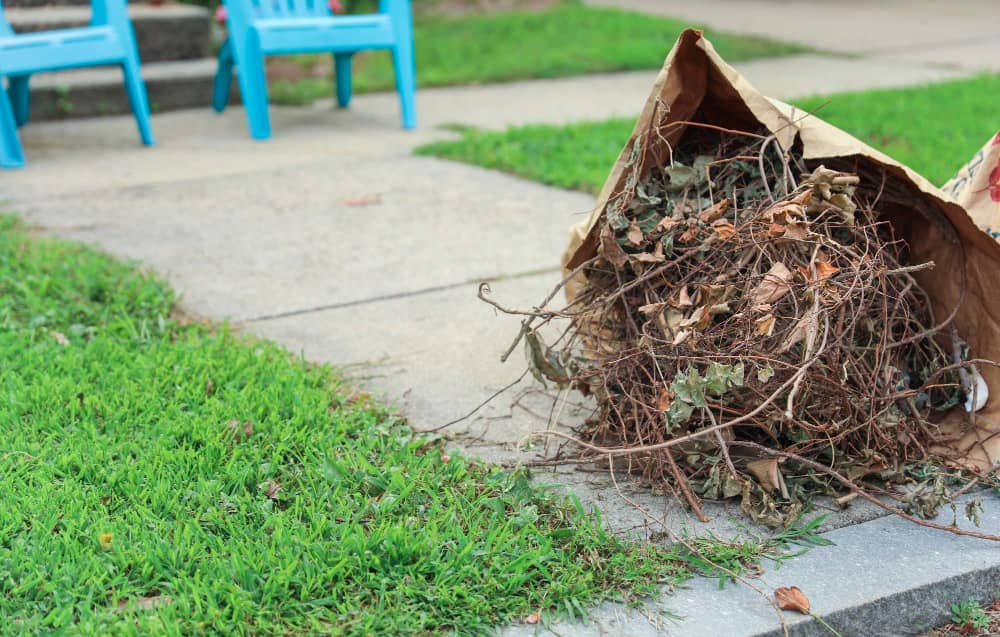 Garden clearance
