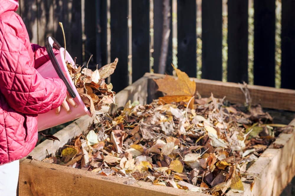 Garden waste and vegetation clearance