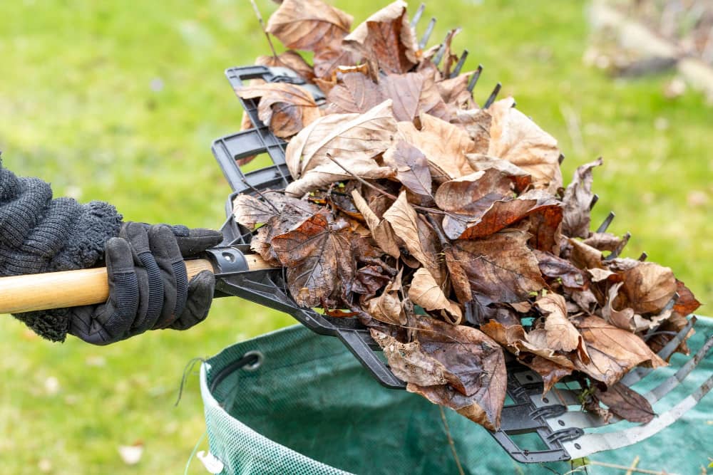 Garden waste 