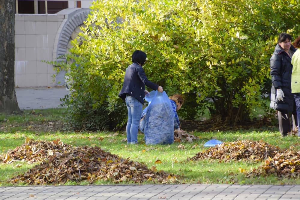 Homeowners clearing clutter or garden waste