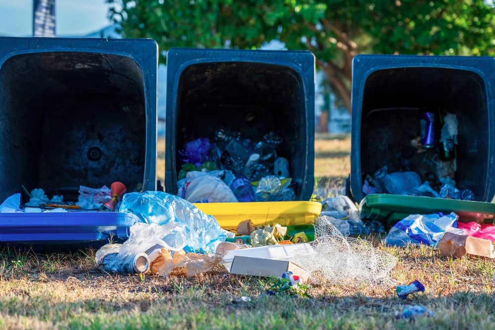 Rubbish Removal 