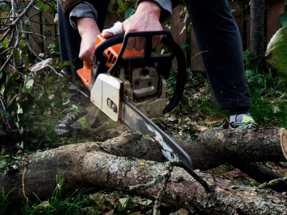 Tree Removal Service