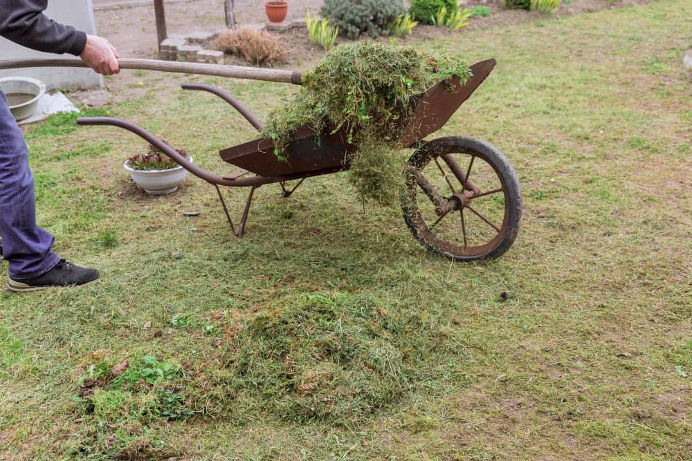 Garden Clearance in West Wickham